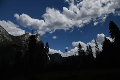 DSC_4334 (Large).JPG